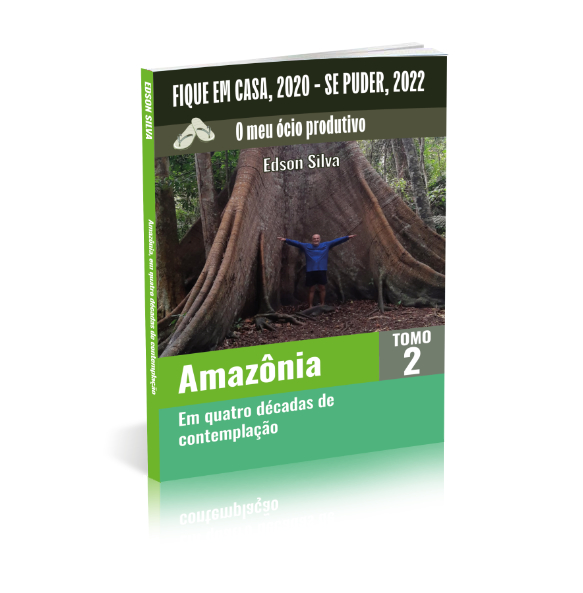 AMAZÔNIA - EM QUATRO DÉCADAS DE CONTEMPLAÇÃO