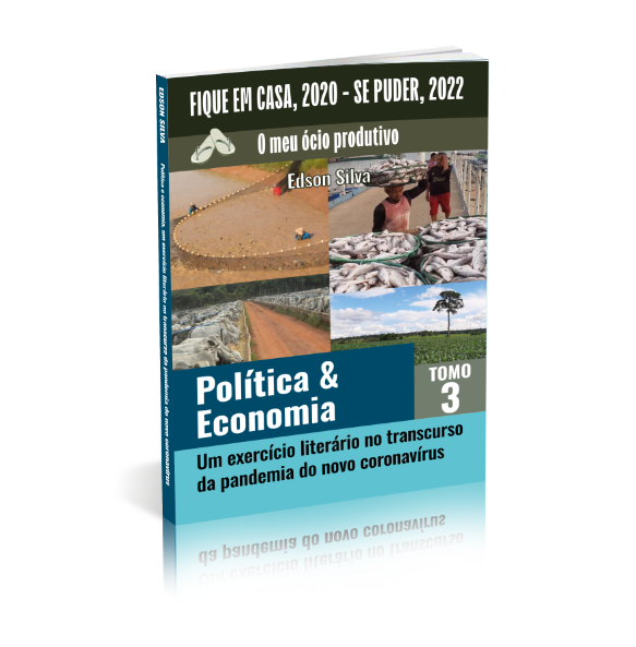 POLÍTICA & ECONOMIA - UM EXERCÍCIO LITERÁRIO NO TRANSCURSO DA PANDEMIA DO NOVO CORONAVÍRUS