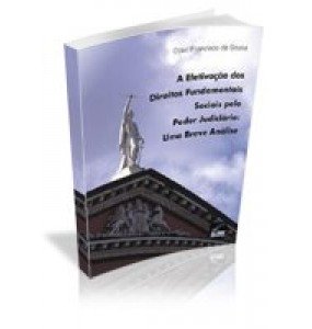 A Efetivação dos Direitos Fundamentais Sociais pelo Poder Judiciário: Uma breve análise 